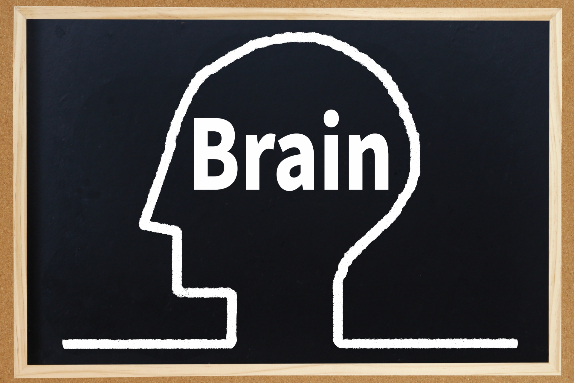 すべての人間が持つホスピタリティを高める「社会脳」とは？